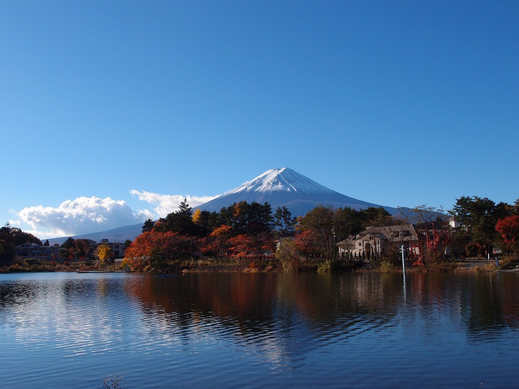 Quang cảnh núi Phú Sĩ băng qua hồ tại Kawaguchiko